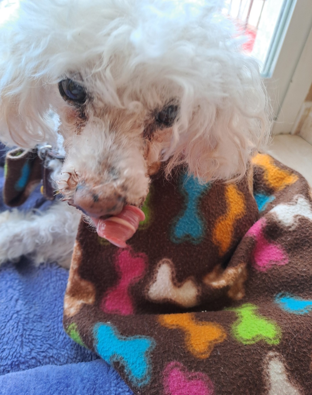 Inbound2902946304715557120